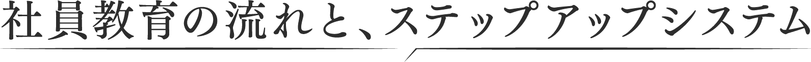 社員教育の流れ